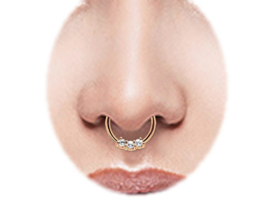 Anel de nariz do anel, dos 8mm e do 10mm do septo do ouro da hélice 14k para o desgaste diário