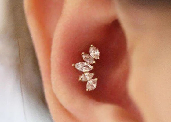 comprimento perfurando dos brincos 6mm da joia do corpo do ouro da forma da coroa 16g com diamante de Mq
